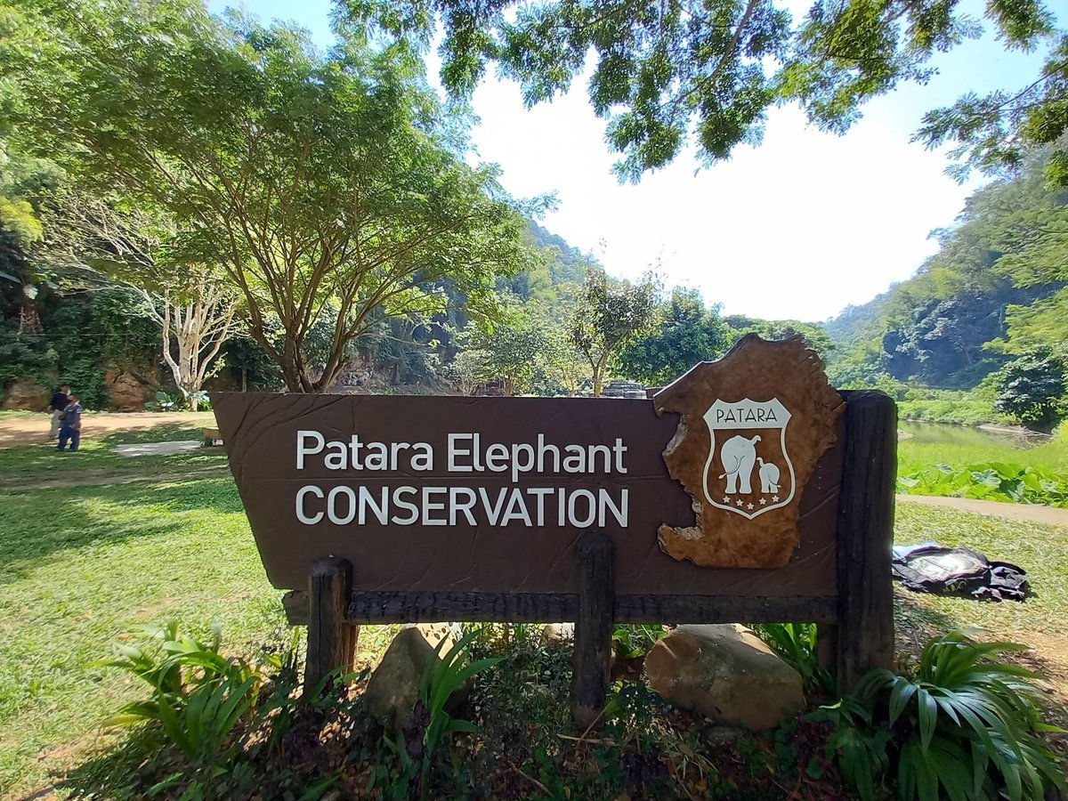 Patara_PEC's tweet photo. https://t.co/6ha577vo9P