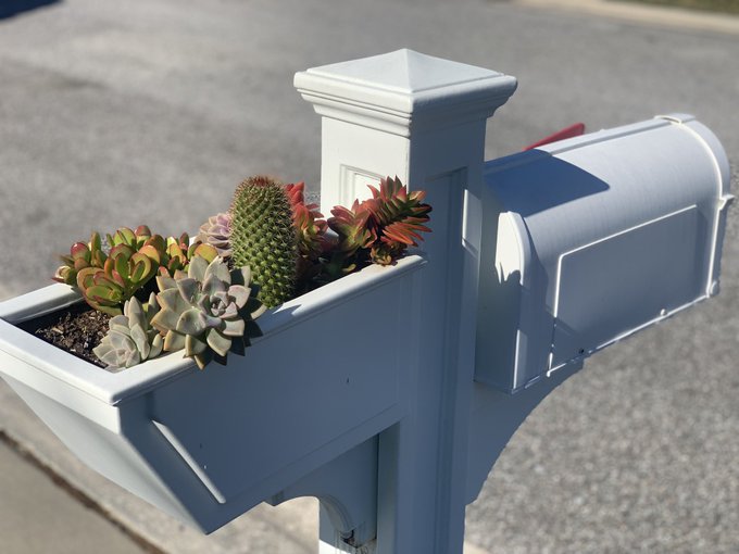 Saw this taking my dog on a run it&rsquo;s so cute https://t.co/QtbmPI6iAA