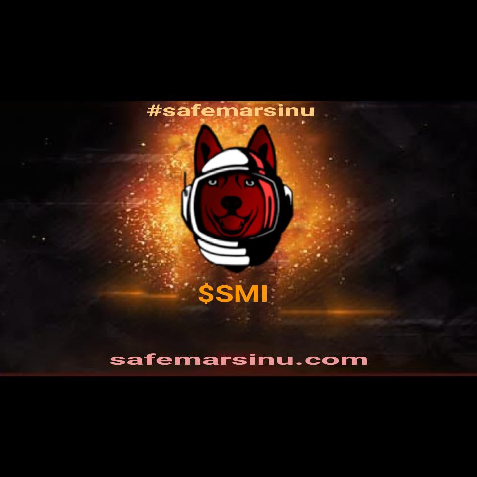 SafemarsInu tweet media