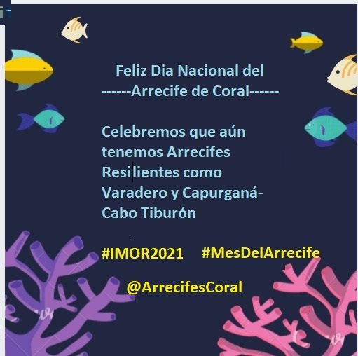 ScientificActiv's tweet photo. @coralina_sai #InternationalVolunteerDay #InternationalReefDay #ReefDay #IMOR2021 #MonthOfTheReef2021 #MesDelArrecife2021 #DiaDelVoluntariado https://t.co/31Tyhm1i0I