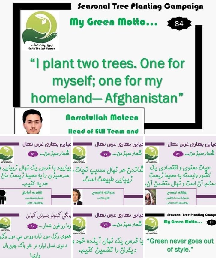 samsoor_watan's tweet photo. Jan 2019:
ELH conducted national tree planting campaign online, with the participation of over 200 individuals who supported the trend with their own motto and promise for environmental protection.
#AfghanistanEnvironment
#Green_Action #ecofriendly #ClimateCrisis #Plantation https://t.co/VrPGW6ucs1