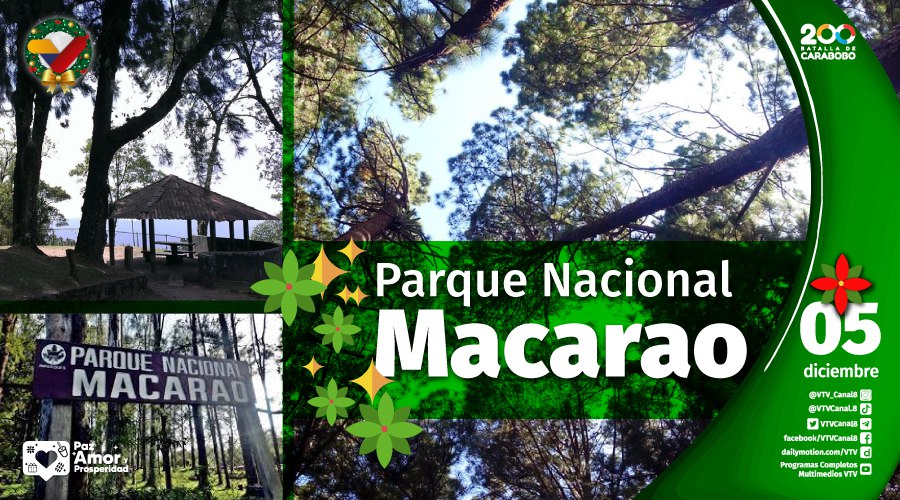 VTVcanal8's tweet photo. #EFEMÉRIDE🗓️| Este #5Dic el Parque Nacional Macarao cumple 48 años, siendo una de las áreas protegidas del Sistema Nacional de Parques, para preservar las cuencas de los ríos Macarao, San Pedro y El Jarillo, que son importantes fuentes de agua para Caracas.
#VacunasParaTodos https://t.co/1RdLY0cPhC