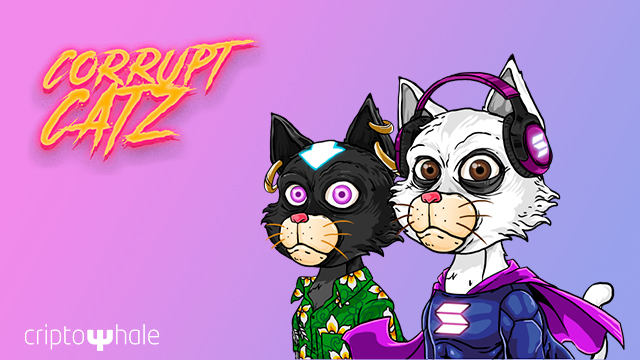 criptowhale's tweet image. CORRUPT CATZ: La nueva generación de NFTs está en camino.
La nueva colección de Corrupt Catz se está desarrollando para todos los holders del Gen 1.

criptowhale.com/corrupt-catz-2/

@corruptcatz @WalterL84604859 @massimi82710128 
#NFTs #Solana #NFTCommunity #nftcollectors