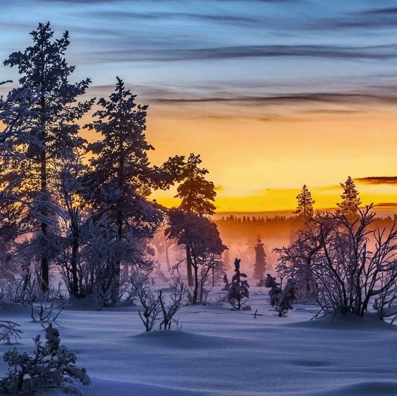 Winter in the North.