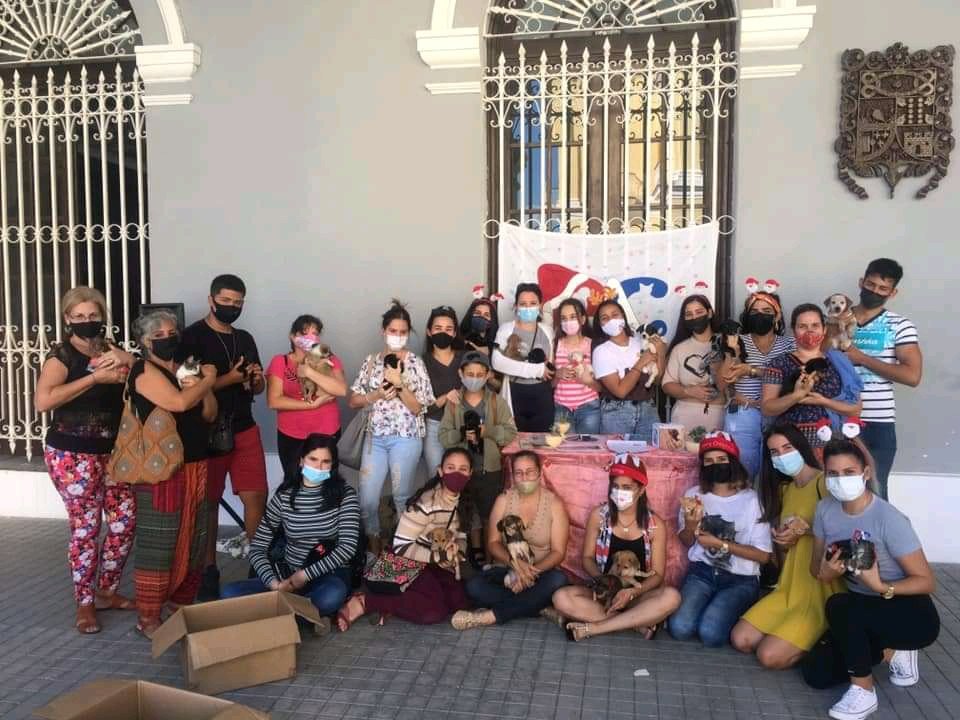 JosEnriquedel10's tweet photo. Satisfacción completa al ayudar en esta labor de pura sensibilidad.
🐈🐕🐶
"El hombre debe ser amigo de la Naturaleza, no enemigo de la misma"
En Colaboración con Bienestar Animal Cuba en Matanzas.
#AdolescentesXMatanzas 🌟
Que la Diversidad se haga Unidad
#OCCM https://t.co/rlWHMEPOok