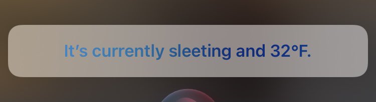 sofstaehly's tweet image. yea no maybe i just stay in bed all day