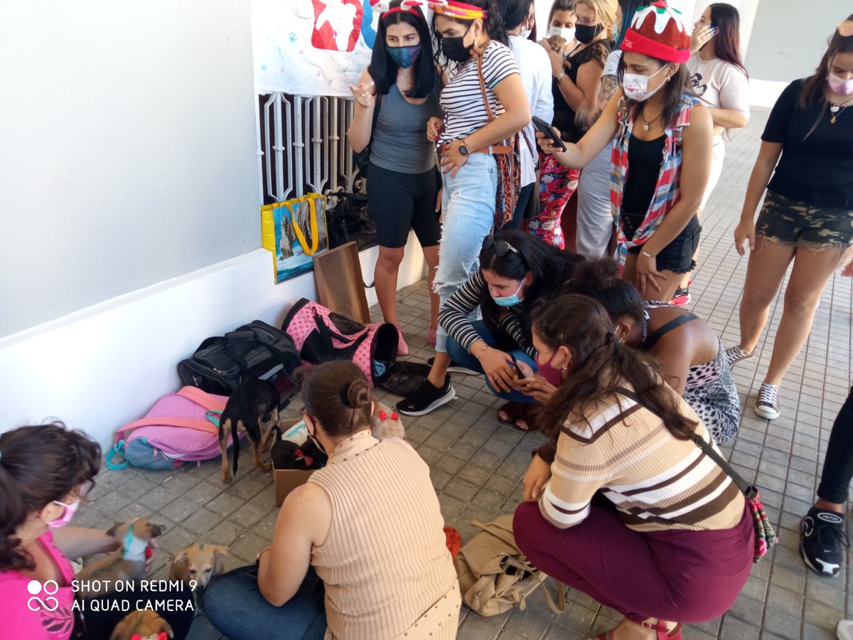 JosEnriquedel10's tweet photo. Satisfacción completa al ayudar en esta labor de pura sensibilidad.
🐈🐕🐶
"El hombre debe ser amigo de la Naturaleza, no enemigo de la misma"
En Colaboración con Bienestar Animal Cuba en Matanzas.
#AdolescentesXMatanzas 🌟
Que la Diversidad se haga Unidad
#OCCM https://t.co/rlWHMEPOok