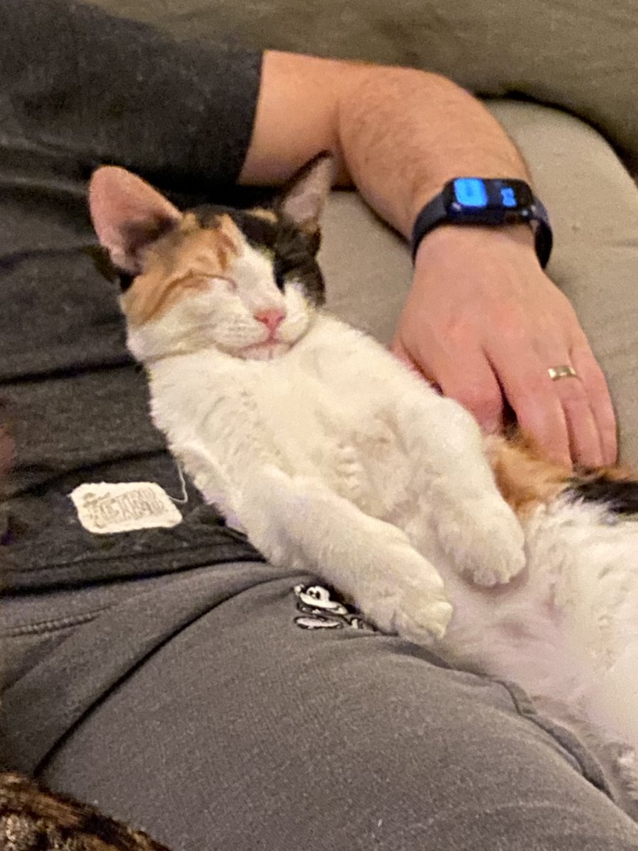 funfeasts's tweet image. It’s a lazy day for Claire and Millie as they await …nothing.  Lucky!