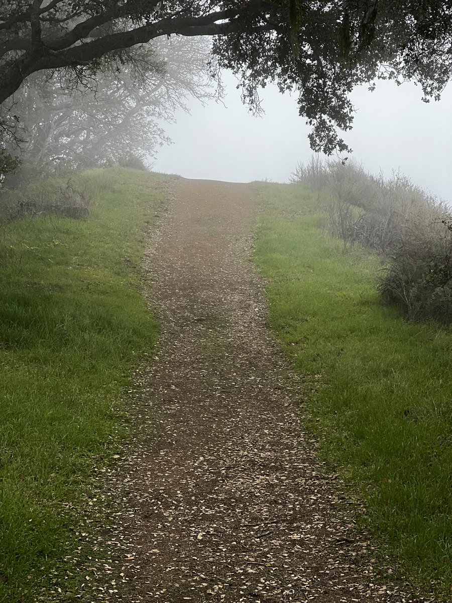 TicTocTick's tweet photo. Confidentially march in direction of your dreams 💭 

Embrace the unknowns and remember your best is yet to come 👍

#inspirational #motivational https://t.co/ahN8AvDQiO