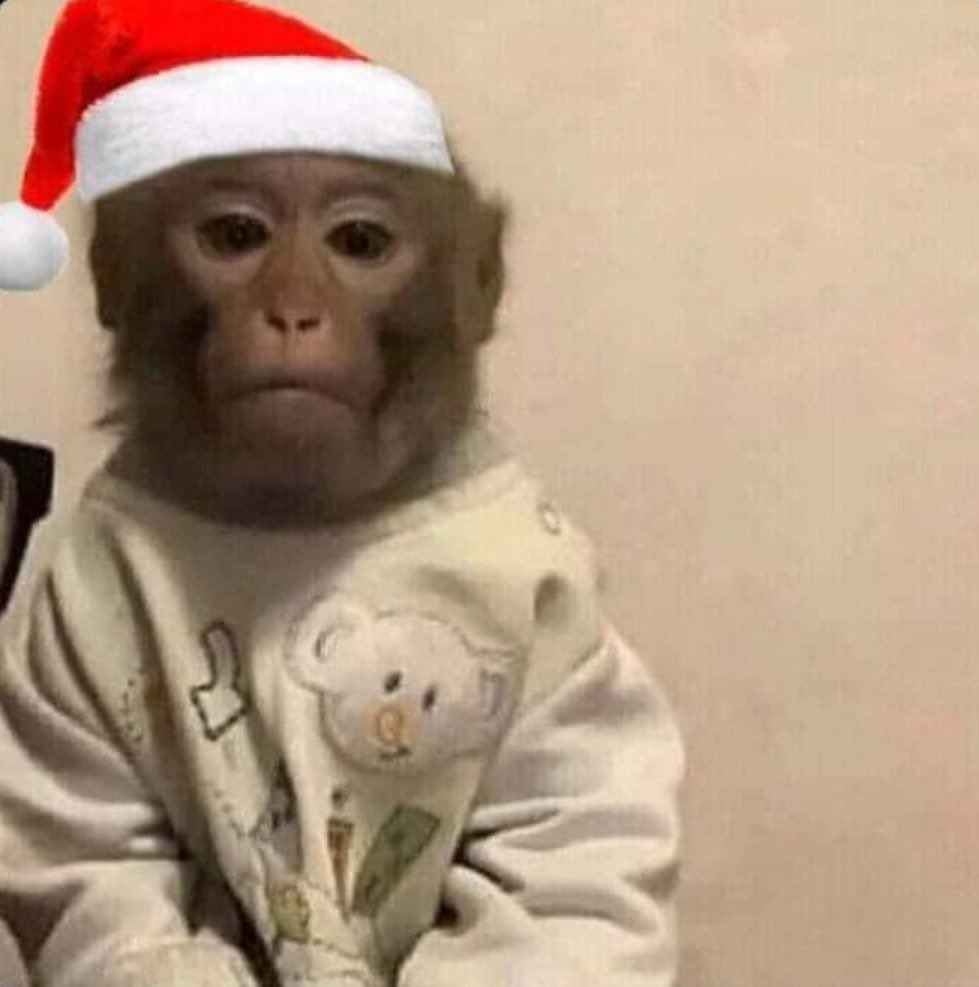 Yo en navidad viendo como mis primitos abren sus regalos y yo no porque ya estoy grande.