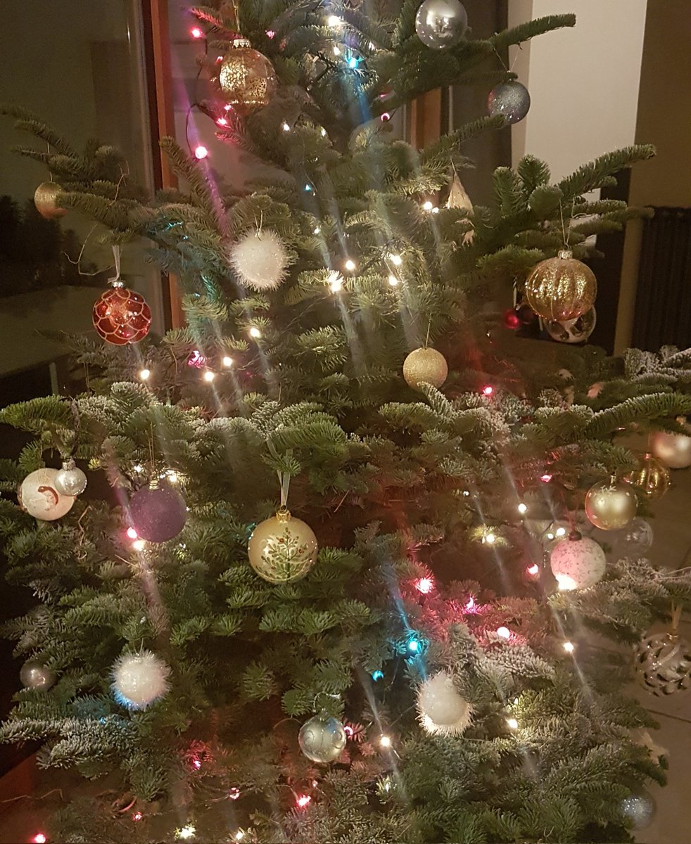 liliroco's tweet photo. @DocArnica #SapinNoel2021 🎄 https://t.co/vSSKhoqufE