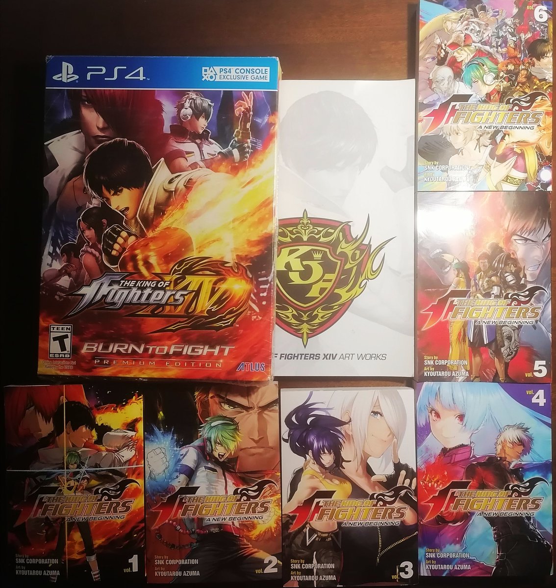 walterfast's tweet photo. What it looks like ➡️ What it feels like #KOFXV #BurnToFight🔥 https://t.co/xazAd5X3Dp