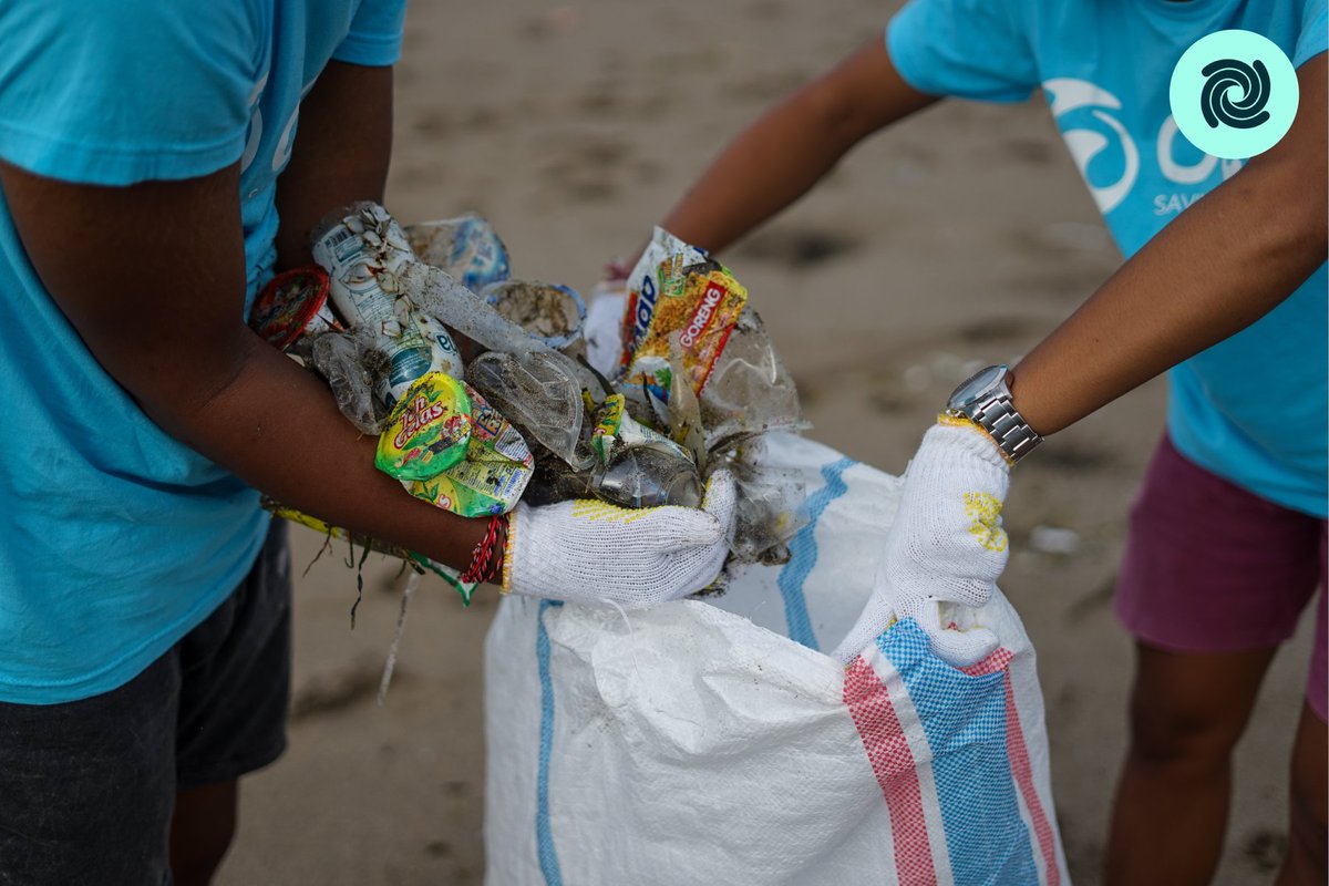 babylon_sg's tweet photo. How can we coerce together to join one of the biggest movement we can make to ocean and our planet @diatomdao https://t.co/XkQ5TFHxhh