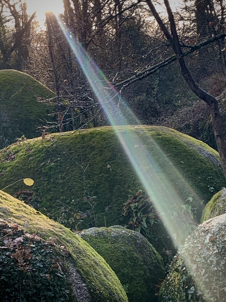 SebastienAcker's tweet photo. Magies luminescentes automnales sur le rocher branlant et sur les #chirons de la belle et douce #Gâtine https://t.co/OK0P3zatzn