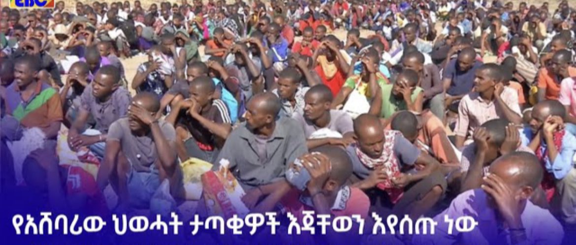 hameremaya's tweet photo. A personal call to surrender will be made by each TPLF leader if the fighting intensifies beyond what it is presently, just like their headmaster did earlier. @eu_eeas @SFRCdems @SenateForeign https://t.co/5sfI9cnoJk #TPLFGameOver #TPLFSurrendered #DisarmTPLF
