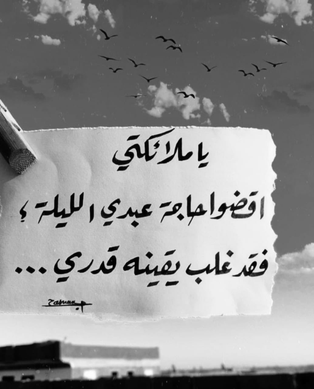 salmahamoud146-twitter