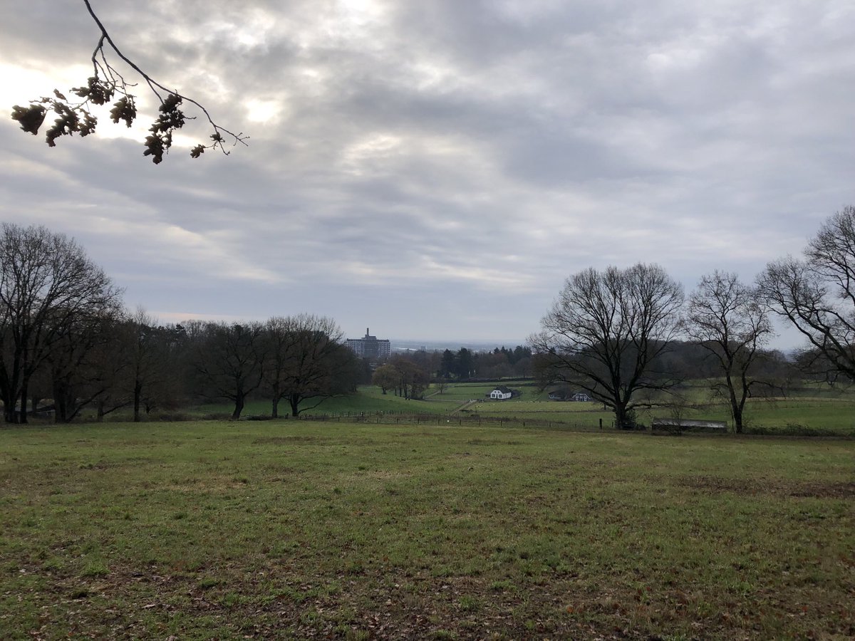 Wandelend naar onze lunchafspraak inArnhem. Wat een mooie stukken en parken #Angerenstein en #Klarenbeek!
