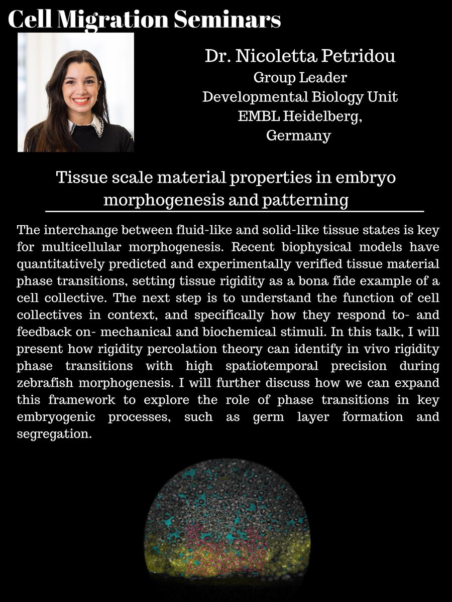 📢Join us this Tuesday 12/7 11AM ET for the last Cell Migration Seminar of 2021! 

We've got two very exciting talks lined up from early career researchers Kolade Adebowale <a href="/KoladeAdebowal1/">Kolade Adebowale, Ph.D.</a> and Nicoletta Petridou <a href="/petridou_ni/">Nicoletta I Petridou</a> 

This is a great way to finish off the fall series ☺️