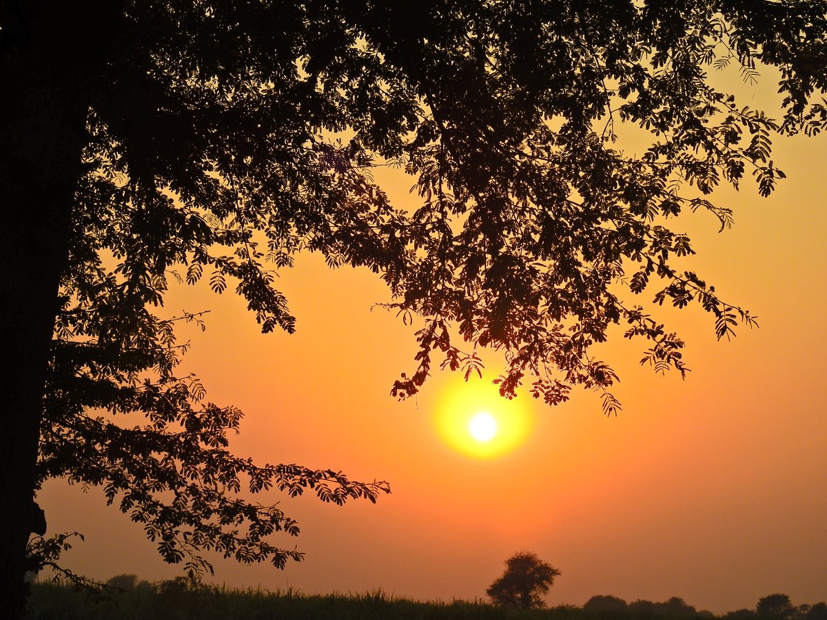 mmatalpur's tweet photo. #SunIsSetting https://t.co/oPMkSUOrUC