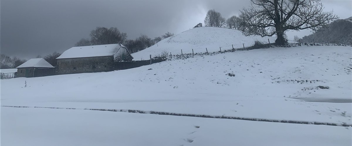 corinne_crabe's tweet photo. Quand le risque d’avalanches est trop fort, on a toujours moyen de faire un tour en vallée pour profiter de la nature intacte #ossau #pyrenees #benou #neige 👉 suivez les conditions en #ossau toute la semaine https://t.co/cCA9biyKbr ❄️❄️❄️❄️
#artouste #gourette #pirineos #nieve https://t.co/YvKPif4vog