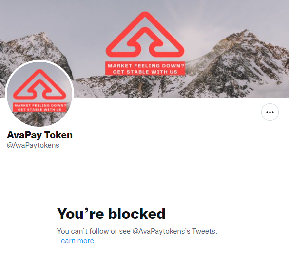 AvaPay Token tweet media