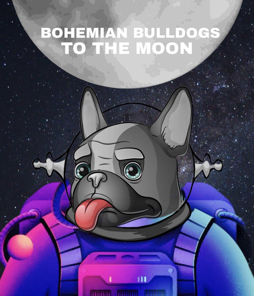 nf_deez's tweet photo. @DanIntern @BohemianDogs 🔥 https://t.co/nadTGwFMFU