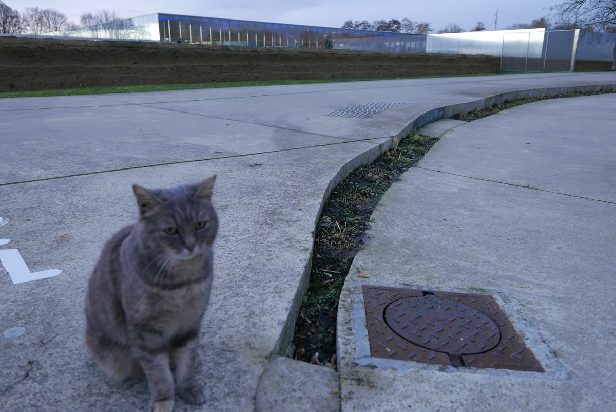 1916 kilomètres tweet media