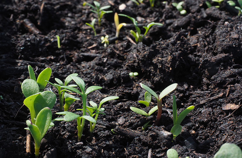 agridigitale1's tweet photo. Saving the ground beneath our feet

The continual loss and impairment of soil ecosystem services (SES) across the globe calls for a fundamental reconsideration of soil governance mechanisms. #WorldSoilDay 

👉https://t.co/OHGol48mEW https://t.co/Xv51W4J6yN