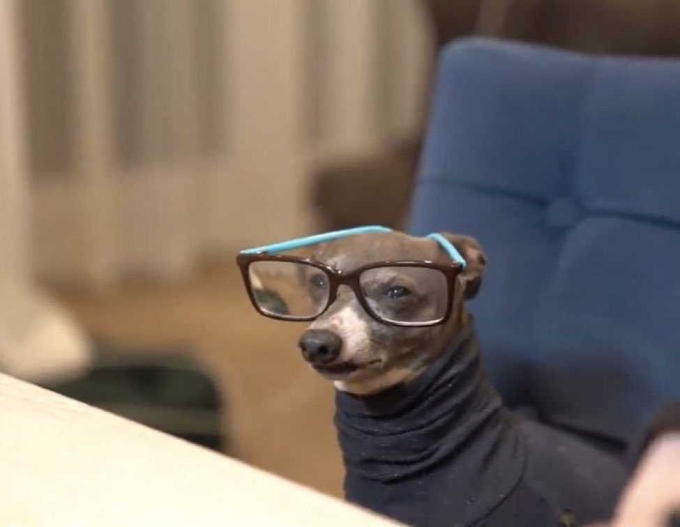 Y2SHAF's tweet photo. me reading the same page 5 times and still not absorbing any information from it https://t.co/42pCJ0K7l3