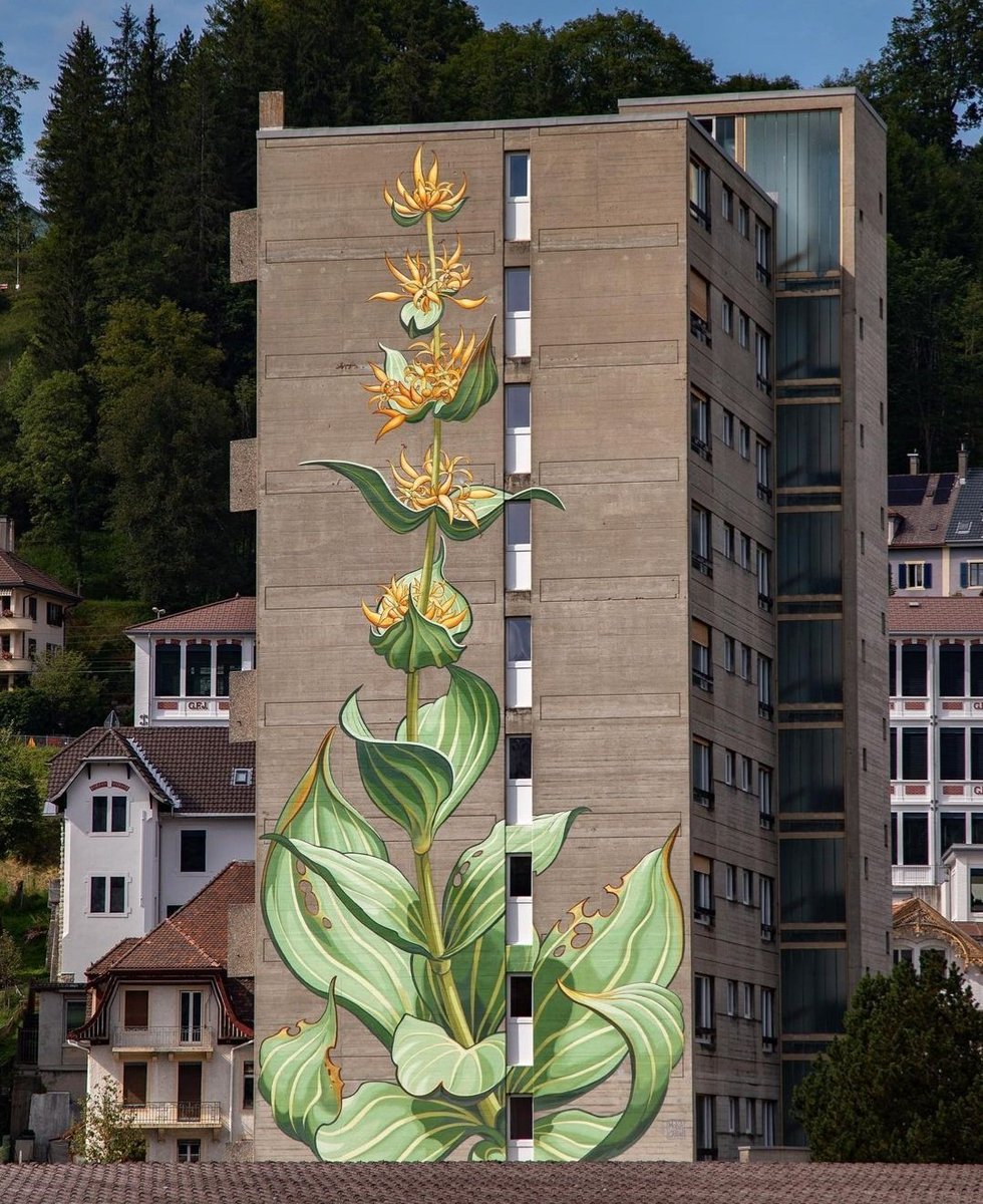 MolinaStreetArt's tweet photo. 'Gentiana Lutea' by Swiss Mona Caron in Le Locle, Switzerland (2021) #monacaron #lelocle #streetart #lamolinastreetart 📸 via artist https://t.co/93ZJHCPKjQ https://t.co/riR6YCjM04