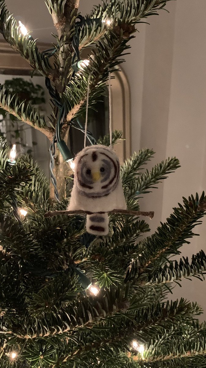 Barry the Barred Owl tweet media