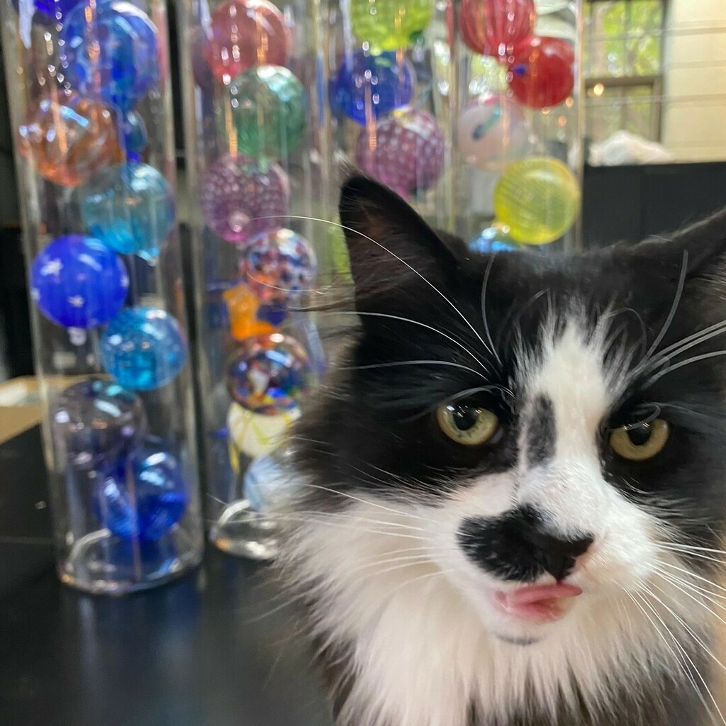 epiphany glass tweet media