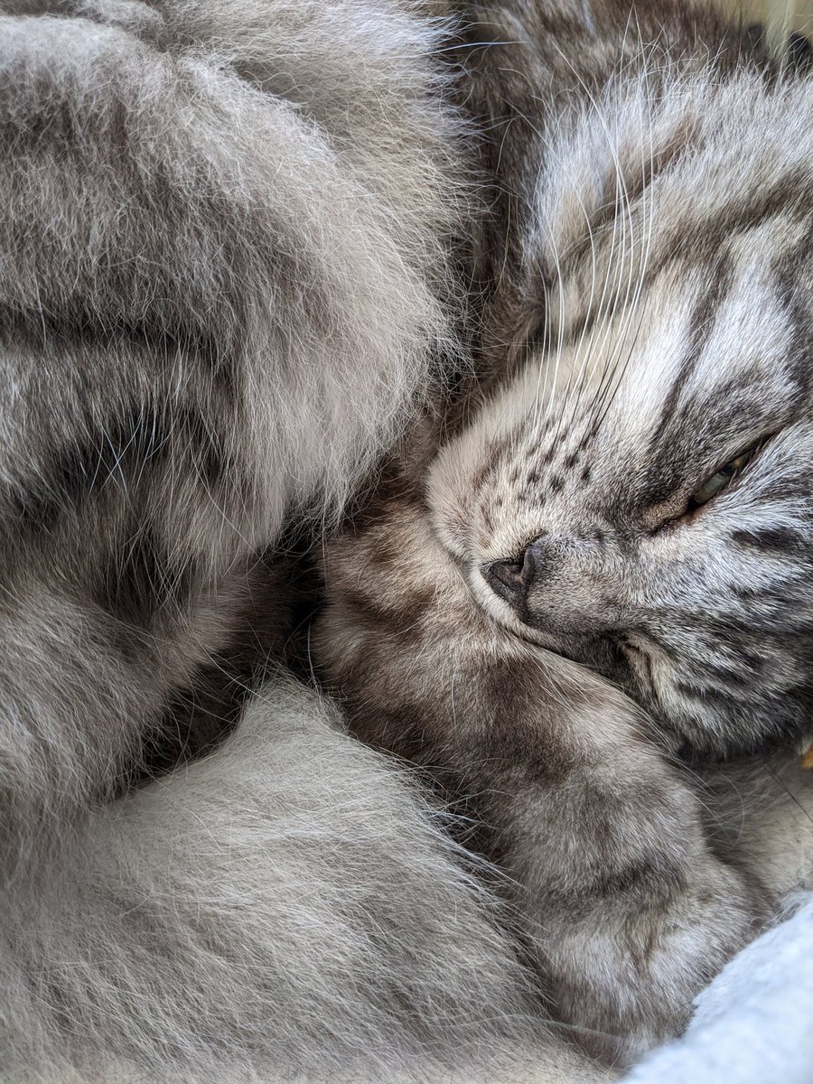 Kat 🏳️🌈 tweet media