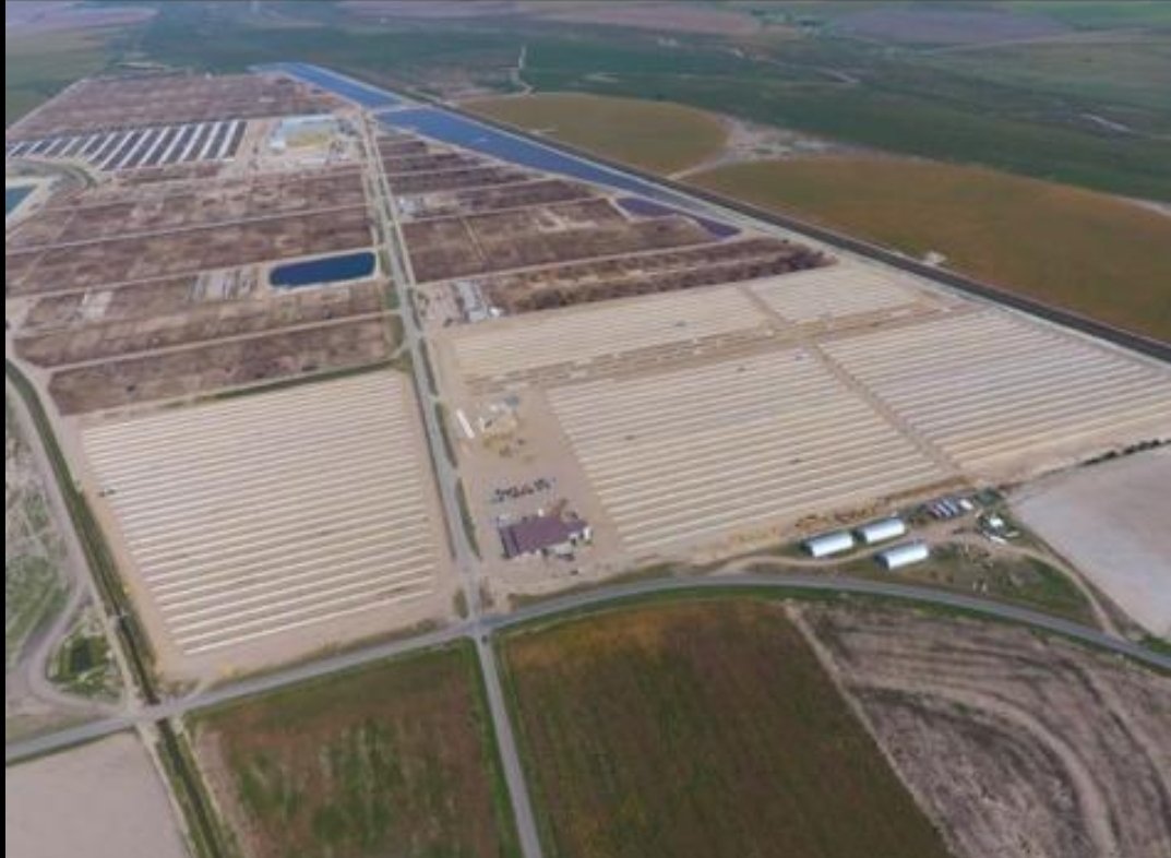 tdibble90's tweet image. Day 4 Alta Mid West Tour 21 Kansas Dairy Development LLC 65,000 head Milk fed calfs to preg heifers 40 suppliers mainly from Winsconsin 1kg DLWG rears their way with little input from the farmers. Strong heifers and probs the best bullers we've seen @AltaGeneticsUK