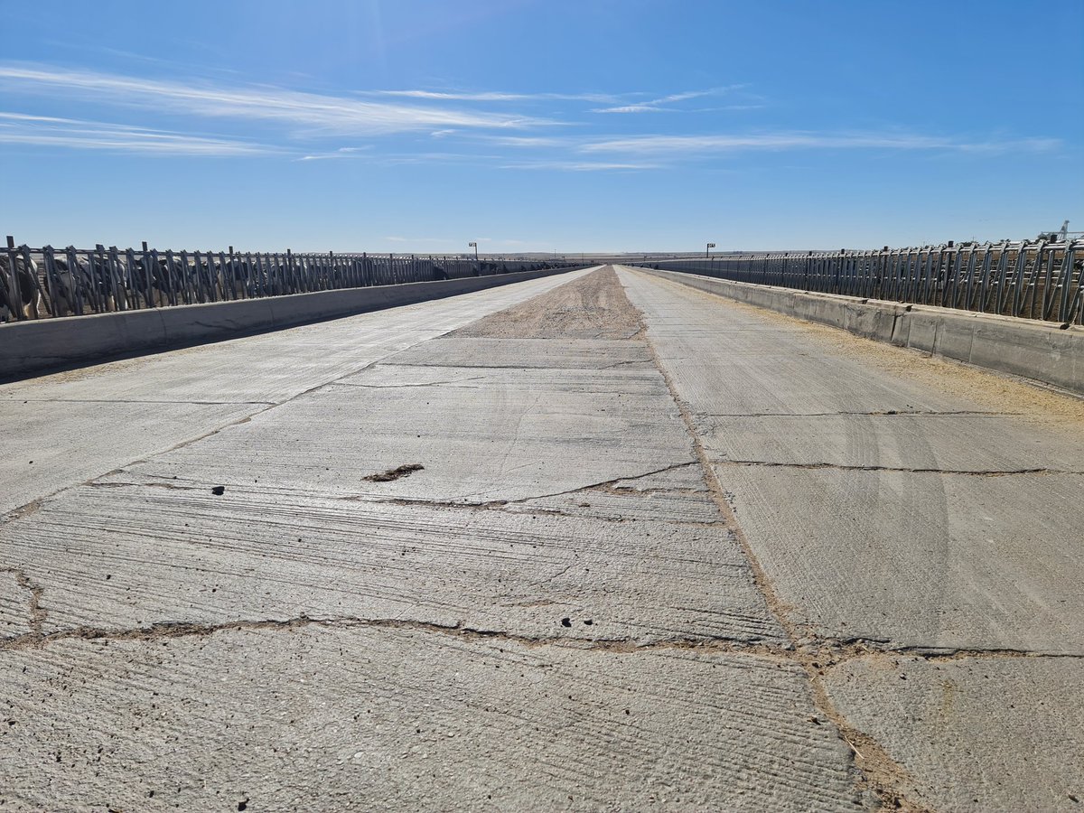 tdibble90's tweet image. Day 4 Alta Mid West Tour 21 Kansas Dairy Development LLC 65,000 head Milk fed calfs to preg heifers 40 suppliers mainly from Winsconsin 1kg DLWG rears their way with little input from the farmers. Strong heifers and probs the best bullers we've seen @AltaGeneticsUK