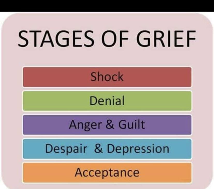 Staged что делает. Stages of Grief. Stages of Grief acceptance. 5 Stages of Grief. Denial Stages.