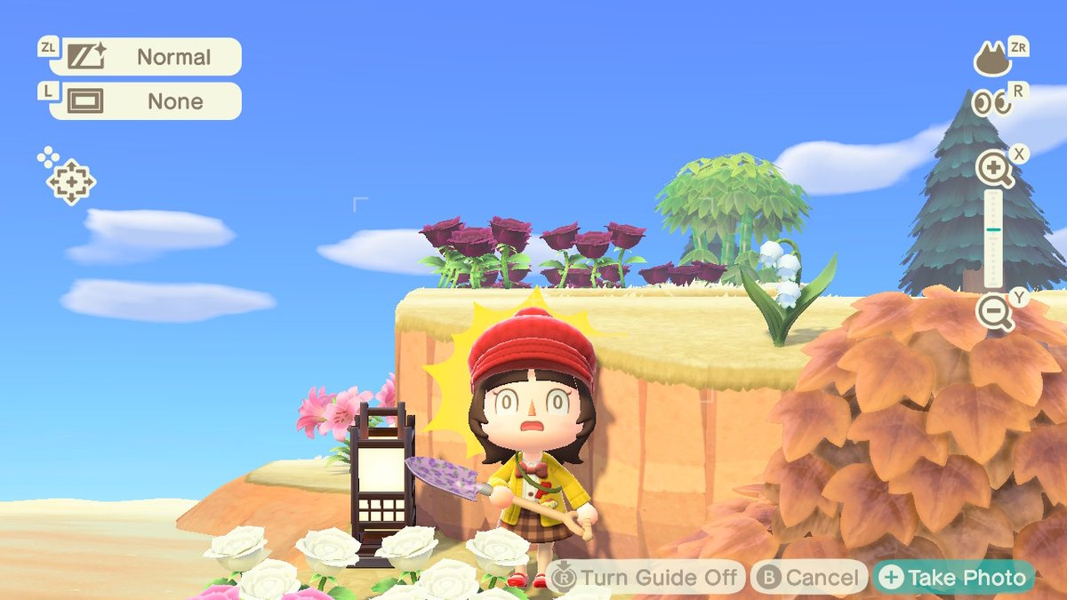 uchimayor's tweet photo. A JACOBS LADDER?! IFINALLYHAVE A FIVE STAR   IsLAND!!! #AnimalCrossing https://t.co/SNcSUiBsER