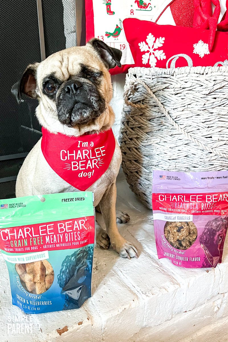 thesimpleparent's tweet photo. #ad Can't forget pet holiday gifts! Gift guide featuring Simple Solution, Natural Care+, Multipet, & @charleebeartrts: https://t.co/HL5ZsO32CU
#BestPetGiftsBBxx #multipet #dog #pets #dogtoy #CharleeBear #CharleeBearDogTreats #BearyTastyTreats https://t.co/dZKjdVL3WO