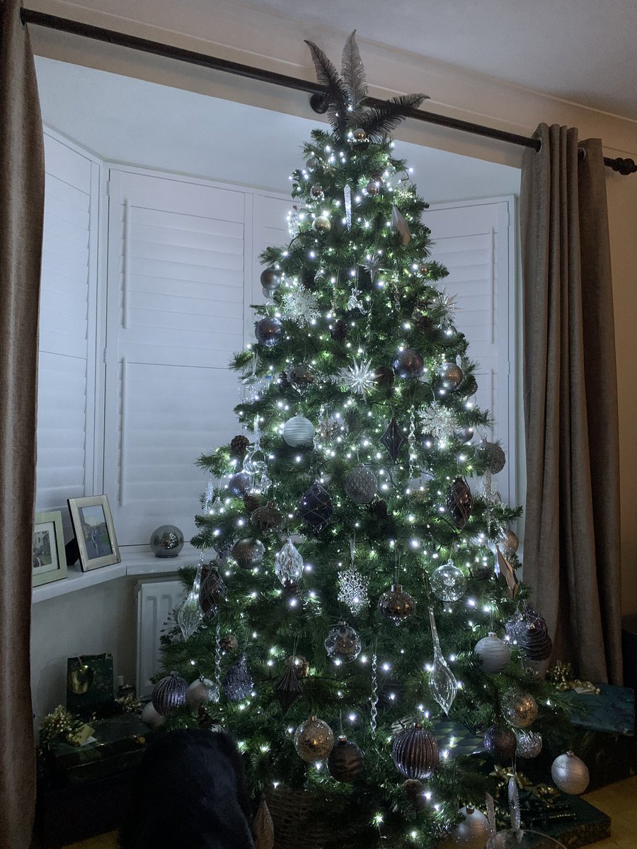 Lexi41423012's tweet photo. @JohnLewisRetail My master and mistress bought some silver hangy things from @JohnLewisRetail https://t.co/G75ciyD327