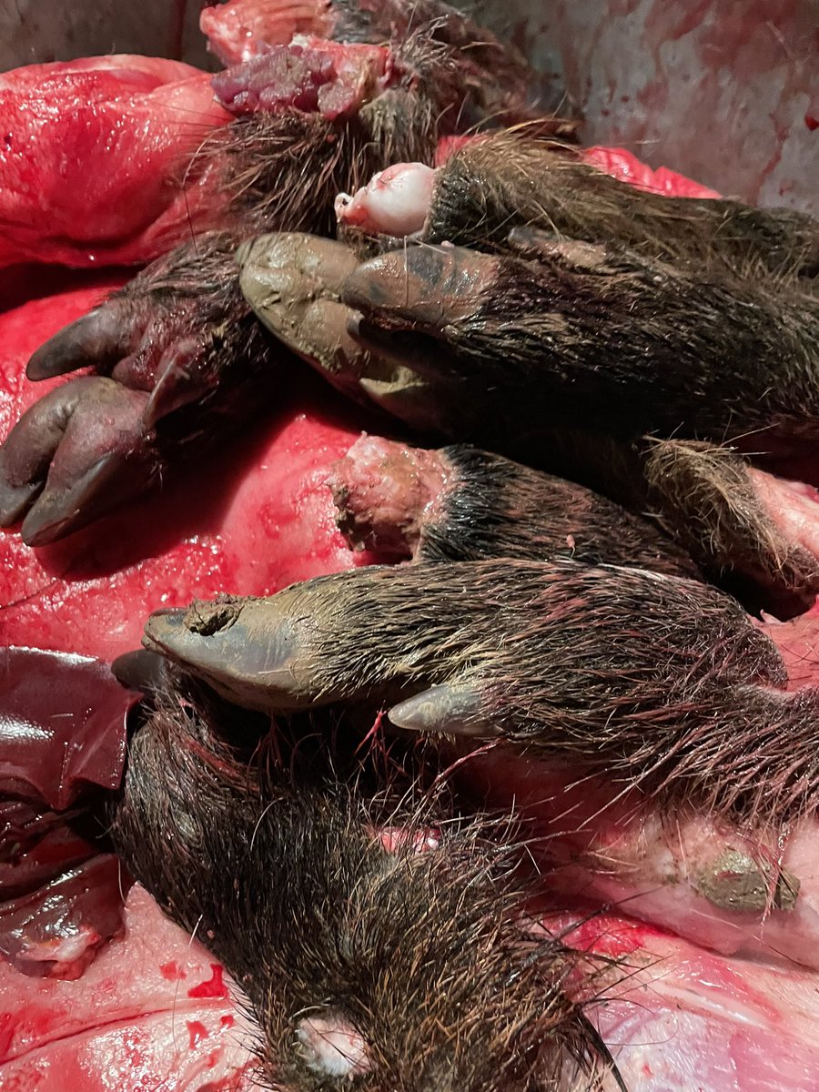 A un moment ça suffit….
Game over