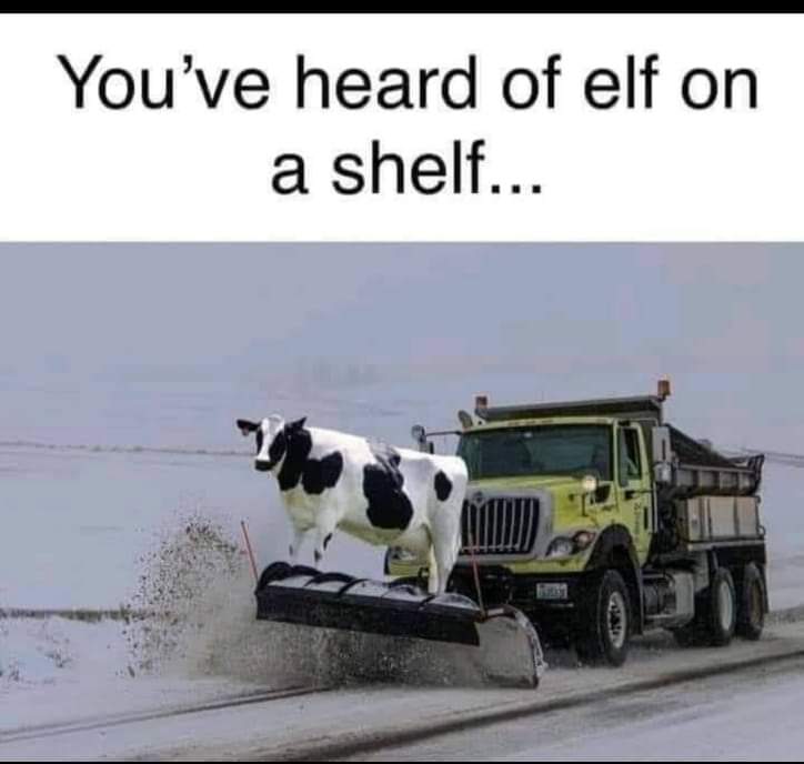 Canadianeh79's tweet photo. Anything is better. #dieelfdie https://t.co/cRtwqeSllM