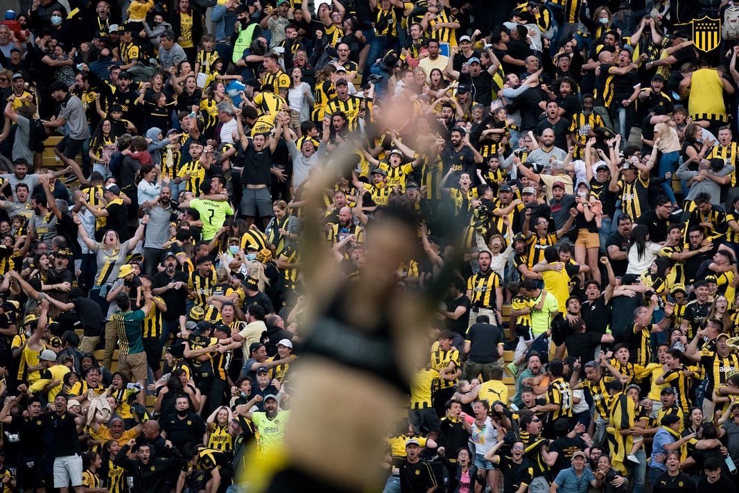 StadiumCheck's tweet photo. Imágenes que emocionan del campeonato uruguayo, la gente de @HistoriaCAP celebrando. Una maravilla las caras de felicidad. 🏟📲
#StadiumCheck #SaludCampeon #VamosCarbonero #TodosJuntos https://t.co/aO8KoK9m7a