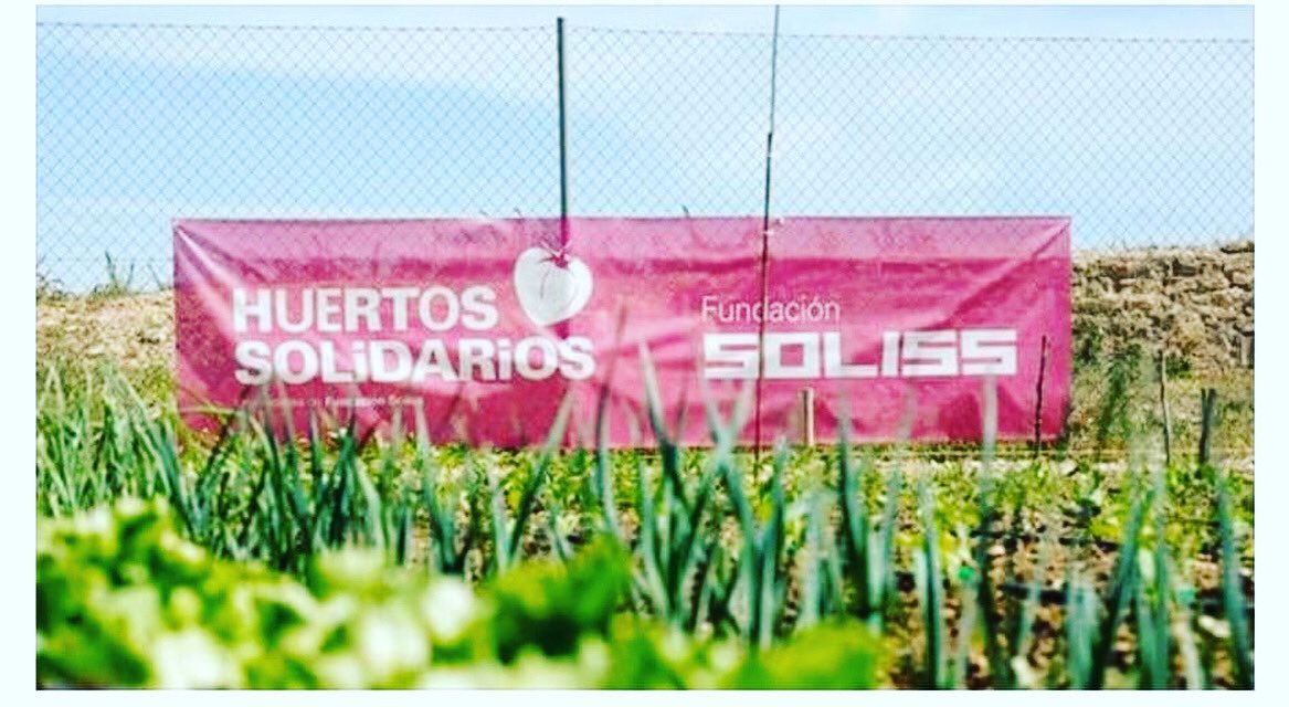 Mención especial a nuestro patrocinador <a href="/SolissSeguros/">Soliss Seguros</a> <a href="/FundacionSoliss/">Fundación Soliss</a> por la gran iniciativa social con la Red de Huertos Solidarios otorgado por Bienestar Social <a href="/gobjccm/">Gobierno de Castilla-La Mancha</a> 

Enhorabuena por el gran trabajo que hacéis siempre. 

#huertosolidario #segurossoliss