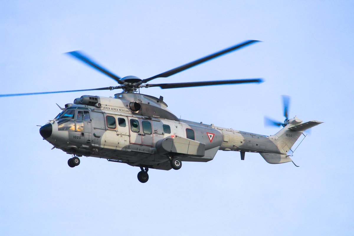 XBRomeoDeltaYan's tweet photo. Tenía mucho no fotografíaba al fuerza aérea 10 20
#Ec725 #H225 #AirbusHelicopters #ec75Cougar #helicopter #HH225 #planespotting #AvGeek #aviationphotography #aviationdaily #aviationworld #approaching #FuerzaAereaMexicana #FAMx https://t.co/u31RFPLc4Q