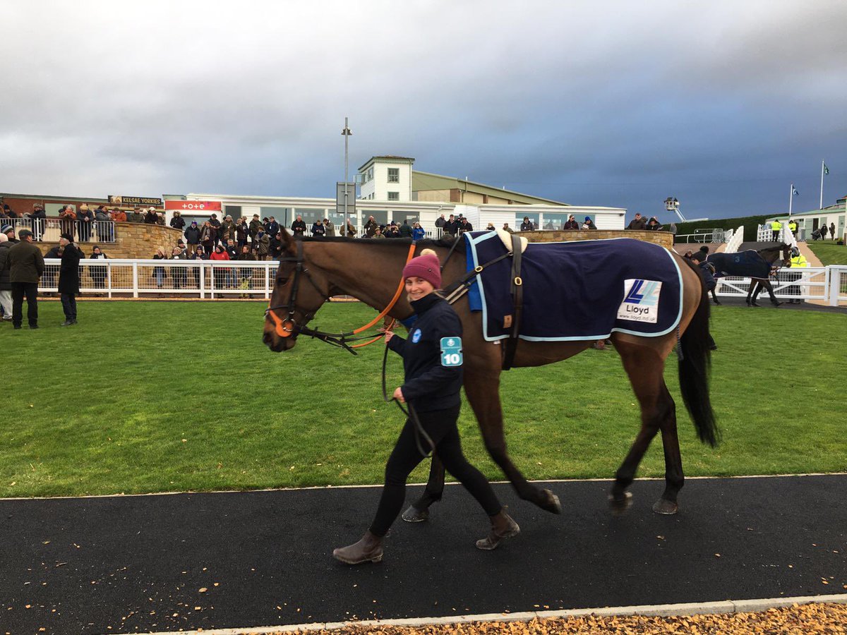 BewleyRacing's tweet photo. WINNER🥇Breaking The Ice makes it three in a row @KelsoRacecourse given a brilliant ride by @Bewley_Jonny. He’s giving owners David and Beth some fantastic days racing! #gutsyperformance #toughfury #excitinghorse https://t.co/tYrXGroYat