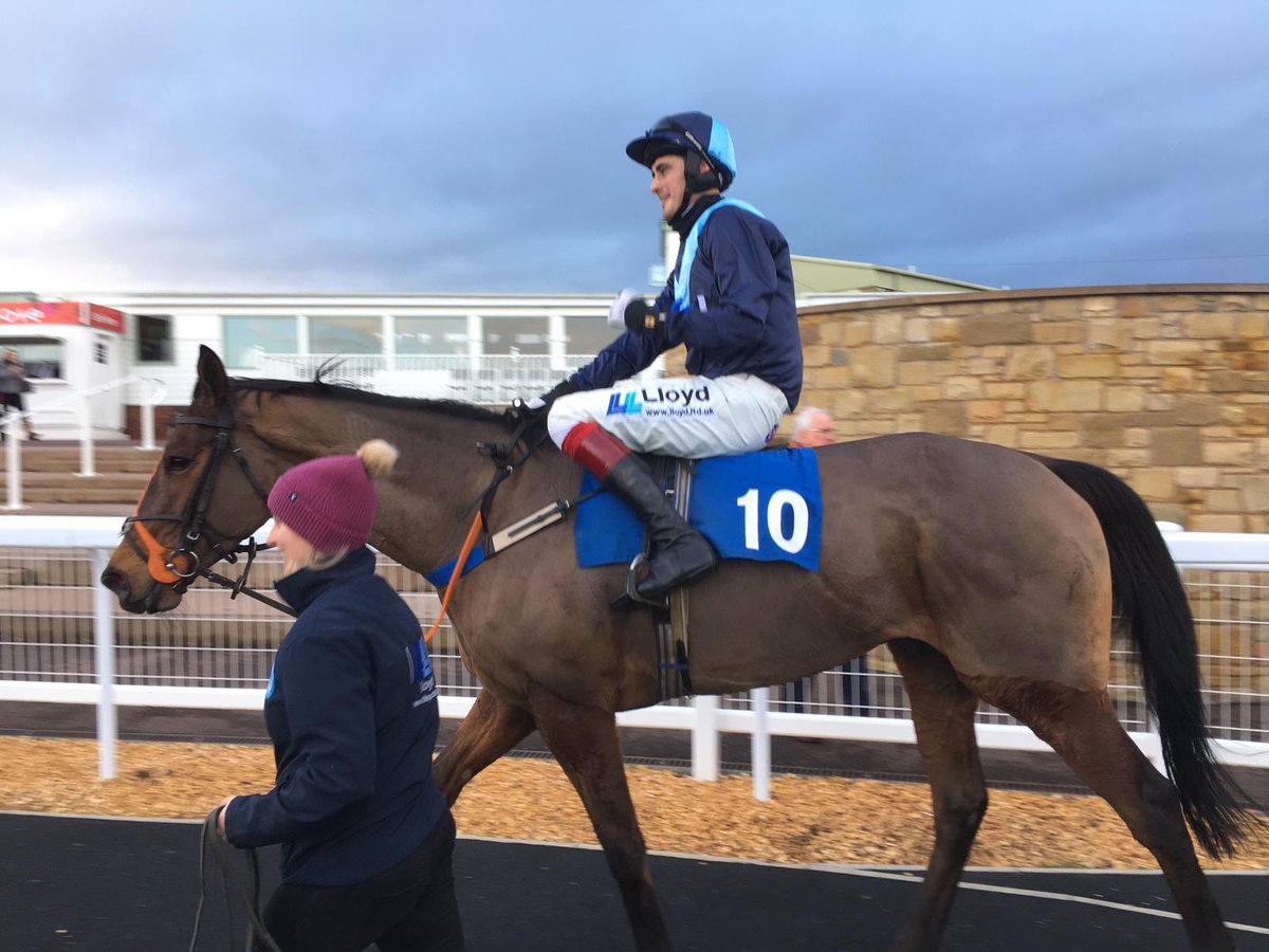 BewleyRacing's tweet photo. WINNER🥇Breaking The Ice makes it three in a row @KelsoRacecourse given a brilliant ride by @Bewley_Jonny. He’s giving owners David and Beth some fantastic days racing! #gutsyperformance #toughfury #excitinghorse https://t.co/tYrXGroYat