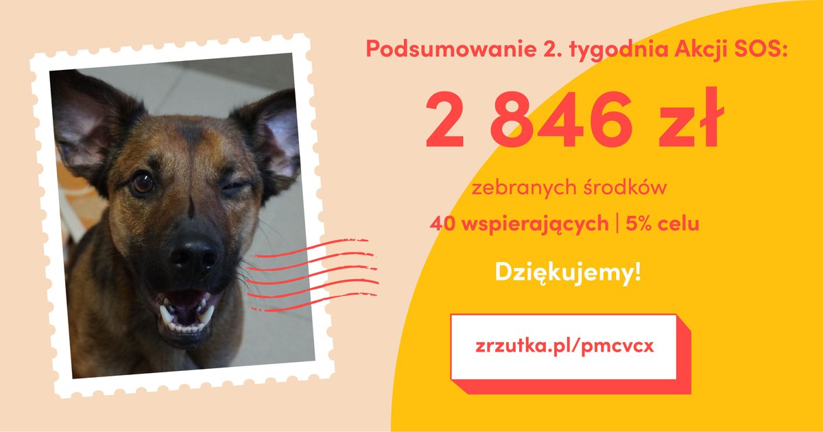 Akcja_SOS's tweet photo. Kochani! Drugi tydzień Akcji za nami :) 
Jutro Mikołaj! Podarujcie zwierzakom choćby równowartość czekolady :)🐱🐶 https://t.co/3KKzNQCTz3