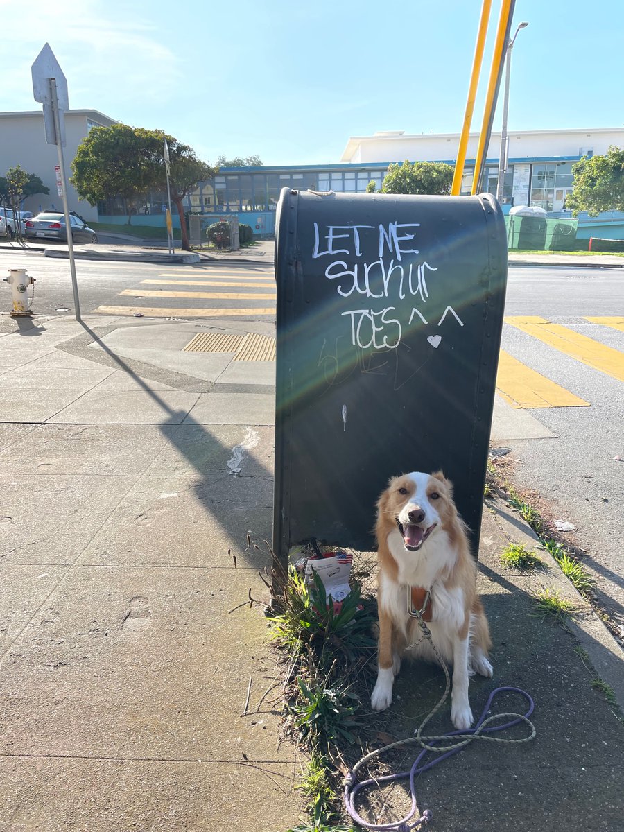 Tyler Williams tweet media