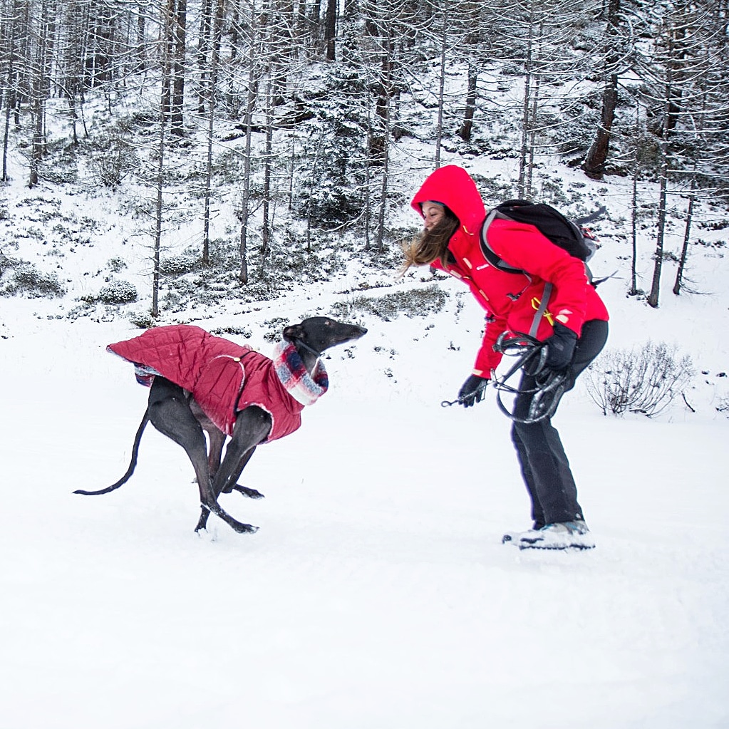 ValentinaDallaCosta tweet media