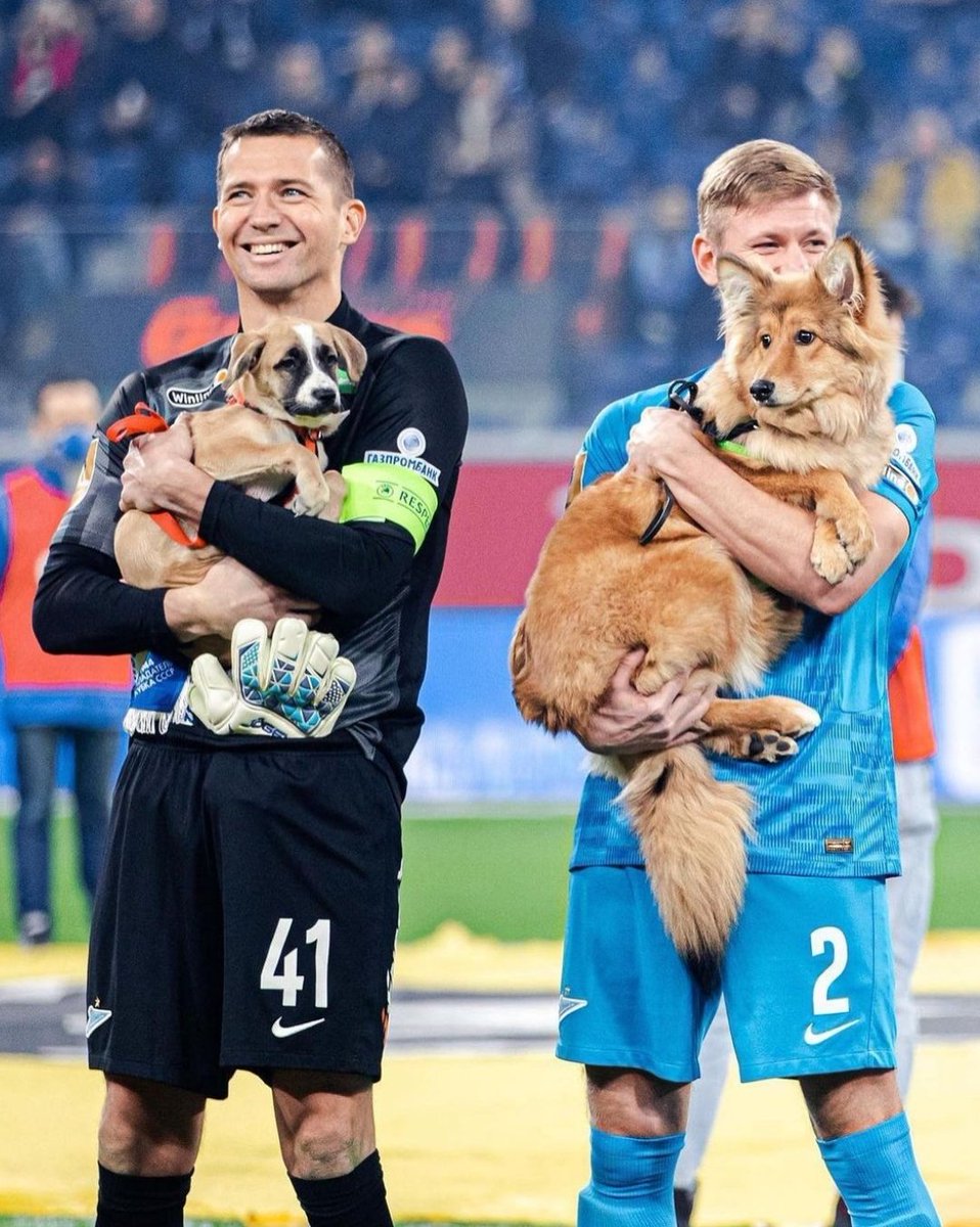 javier7lop's tweet photo. Salieron al campo con perretes que necesitan un hogar en San Petersburg.
Desde ya hincha del Zenit. https://t.co/MYa5BVBCGj